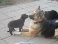 Janka und Wendy 6.11.2016