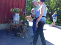 IMG-20170731-WA0009