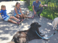 IMG-20170801-WA0031