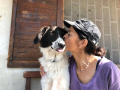 Kira-7.7.19a