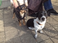 IMG-20151022-WA0004