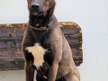 Nala-9.5.23