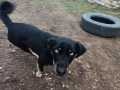 Ronja-Mrz-23-2