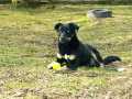 Ronja-mit-Ball-24.3.23