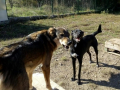 1_Alessio-und-Pedro-10.10.19
