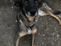 Djina-10.10.19