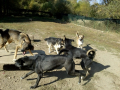 Pedro-Mango-Maite-Angela-Allessio-10.10.19
