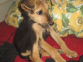 Oskar 20.9.2018 2