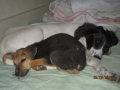 Oskar und Kira 29.9.2018