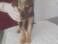 Oskar 5.8.2018 1