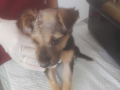 Oskar 5.8.2018 2