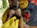 Oskar 9.9.2018 2