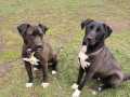 Atina-Serj-Balou-10.4.23