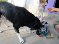 Maja mit dem Spielzeug 6.9.2015