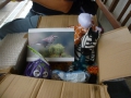 Packet fuer Maja-Junior und Pegi 6.9.2015