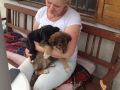 IMG-20170428-WA0051
