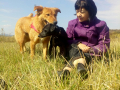 IMG-20171001-WA0019
