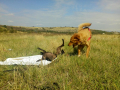 IMG-20171001-WA0020