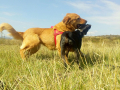 IMG-20171001-WA0025