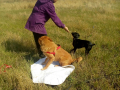 IMG-20171001-WA0027