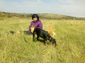 IMG-20171001-WA0030