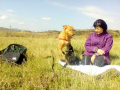 IMG-20171001-WA0031