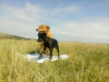 IMG-20171001-WA0032