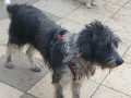 Preya-Willi-21.1.22