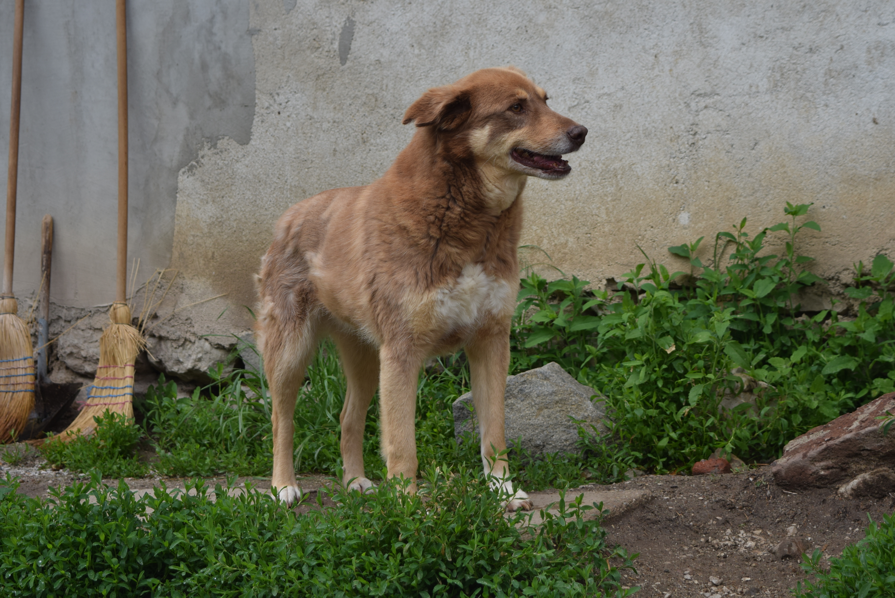 DSC_0877 - Kopie