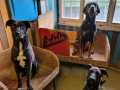 Rika-Nala-Frank-15.5.23