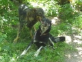 Rita und Iskar vor der alten Station 6.7.14 1.jpg