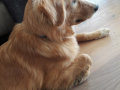 Ronja 13.10.18