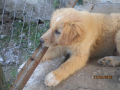 Ronja 27.5.2018