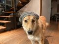Rocky-11.1.24