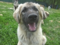 Ronja 30.5.2015 2