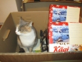 Transport Dezember 2015 - Missi hilft beim Auspaken