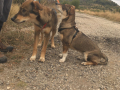 IMG-20170923-WA0002