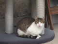 IMG-20170923-WA0005