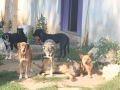 IMG-20170923-WA0019