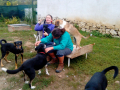 IMG-20170923-WA0047