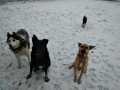 Drago-Marti-Bouble-Brani-30.11.20