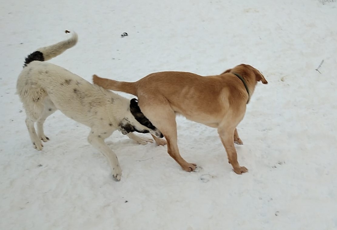 Maxi-Nina-6.2.20