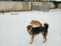 Johny-Maxi-6.2.20a