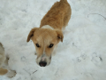 Kalle-6.2.20-a