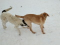 Maxi-Nina-6.2.20