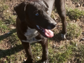 Scotti-17.3.2019