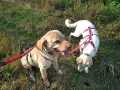 Maxi-und-Holly-23.8.20-3