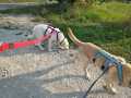 Maxi-und-Holly-23.8.20-4