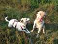 Maxi-und-Holly-23.8.20