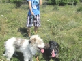 Putz und Spas waren mit Ivan spazieren gegangen und sich kennenlernen 24.7.2016
